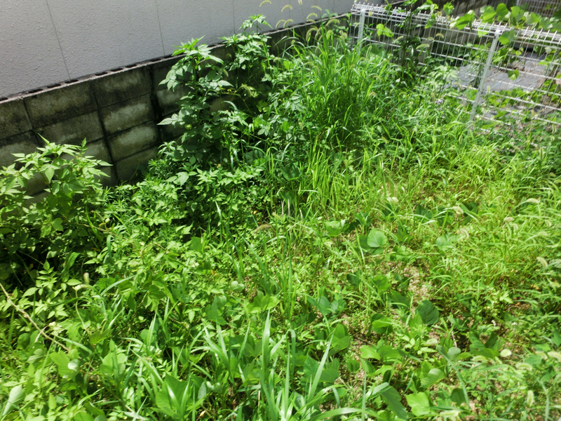 バルコニー・ベランダ 写真14