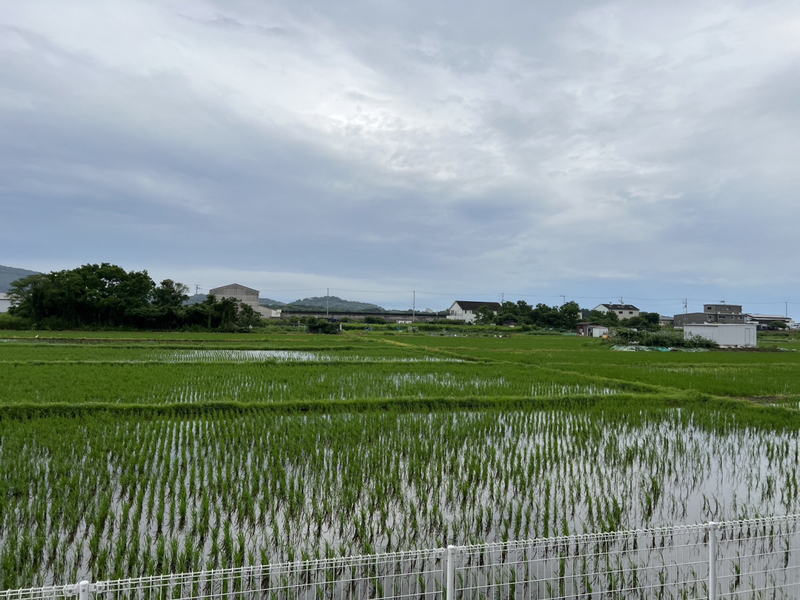 眺望 写真15