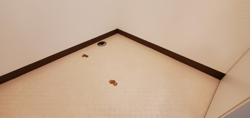 内装 写真20