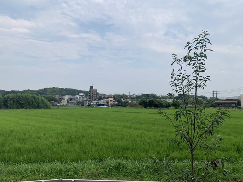 眺望 写真15