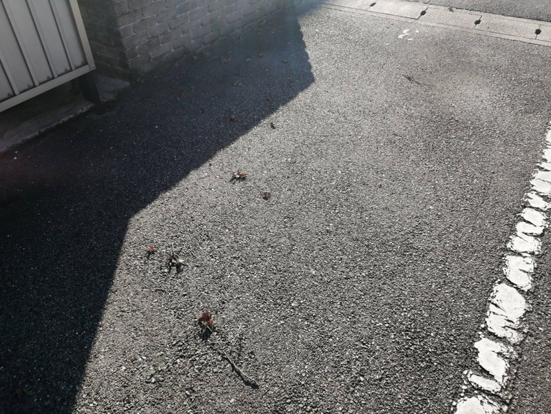 駐車場 写真10