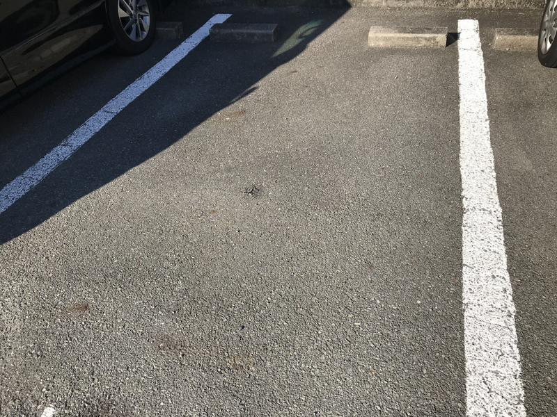 駐車場 写真10
