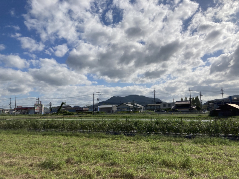 眺望 写真15