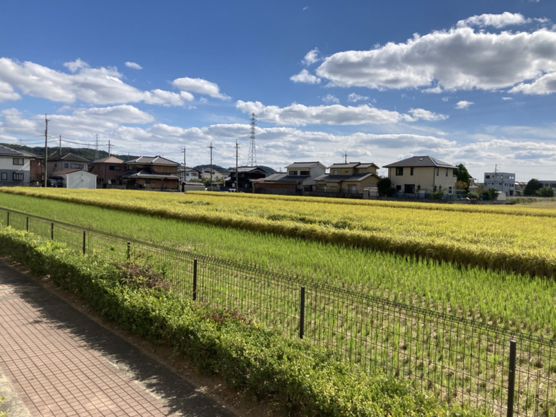 眺望 写真15