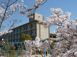 広野小学校まで537m (徒歩7分) 写真21