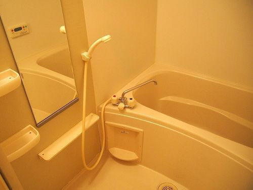 バス 写真4